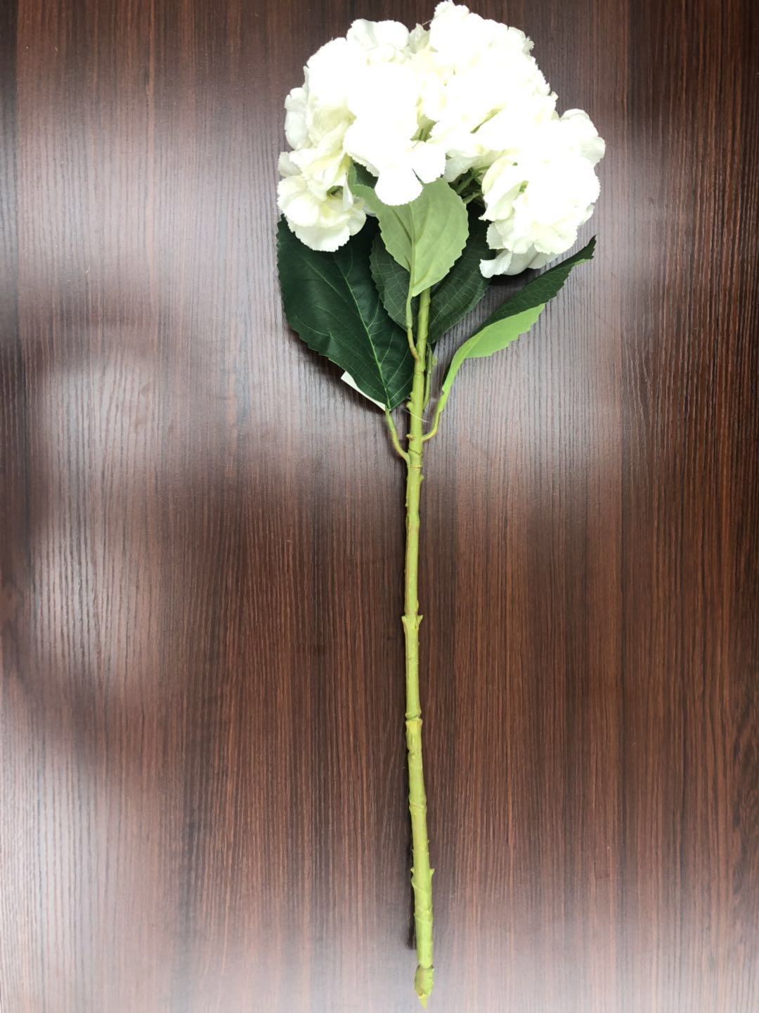 هايدس الكبيرة detail image 8