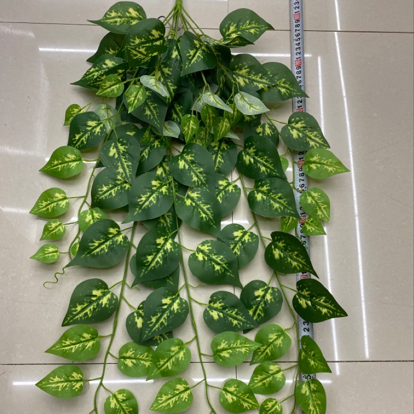 The 125-leafed aglaonema