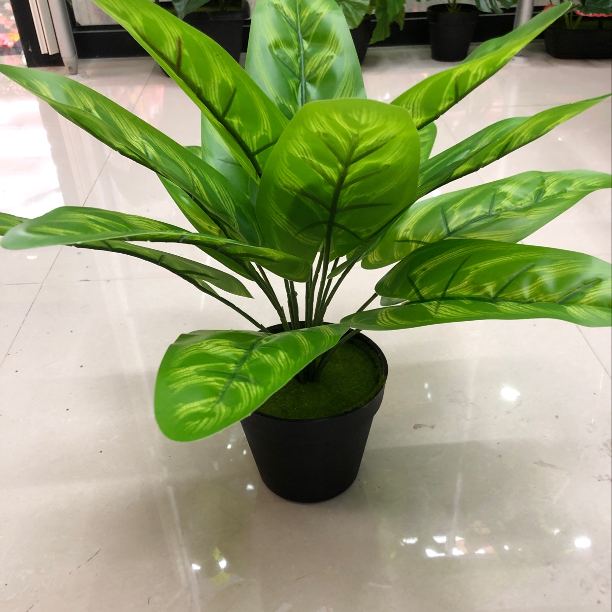 It has 15 long leaves Specification image