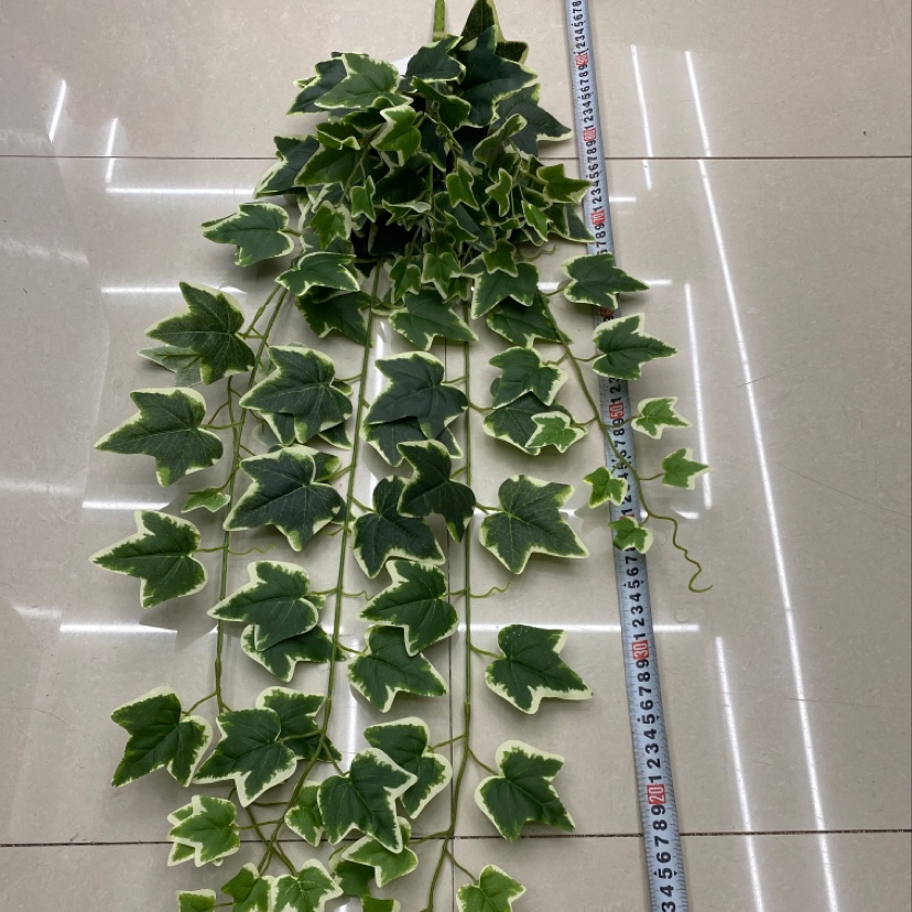 125-leaf sweet potato leaves