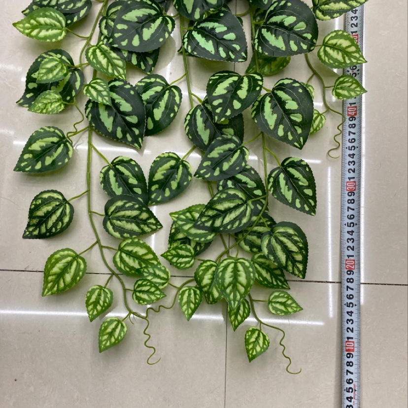 125 rubber leaf large pattern cold water leaf details Picture