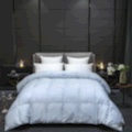 High-end jacquard graphene down quilt details Picture