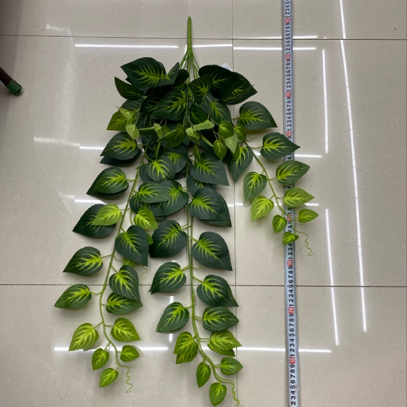 125-leafed green Perilla