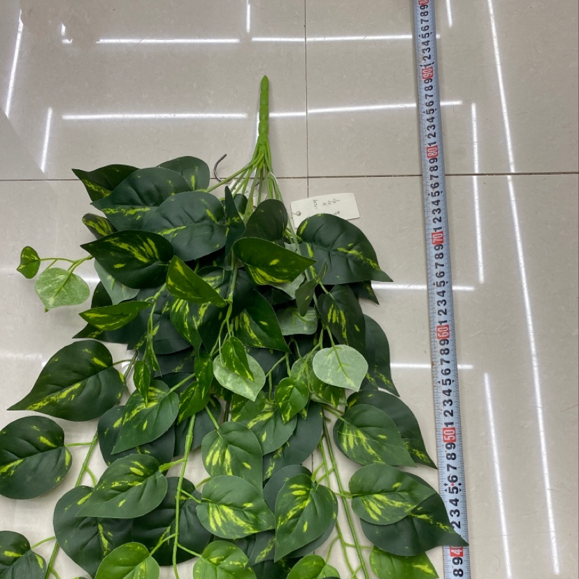 The 125-leaf green heart evergreen Specification image