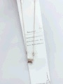 Titanium Steel Rose Gold Necklace undefined