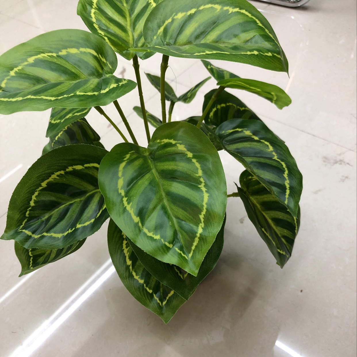 18 green peacock leaves Specification image