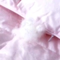 Youdaoplaceholder0 white goose down quilt Item Picture