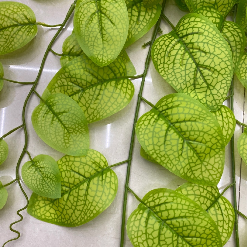 125 rubber leaf green mesh leaf Application Scenario