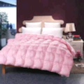 Youdaoplaceholder0 twisted goose down quilt (powder) details Picture