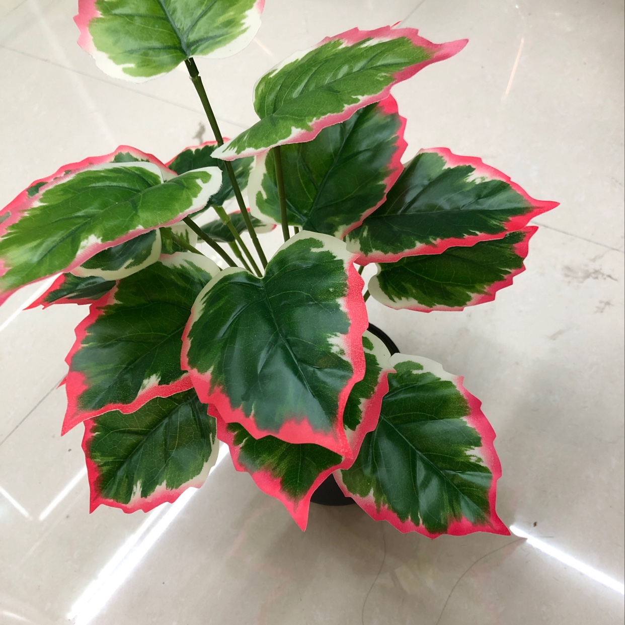 ١٨ رَفِيقٌ حَمِيلٌ Specification image