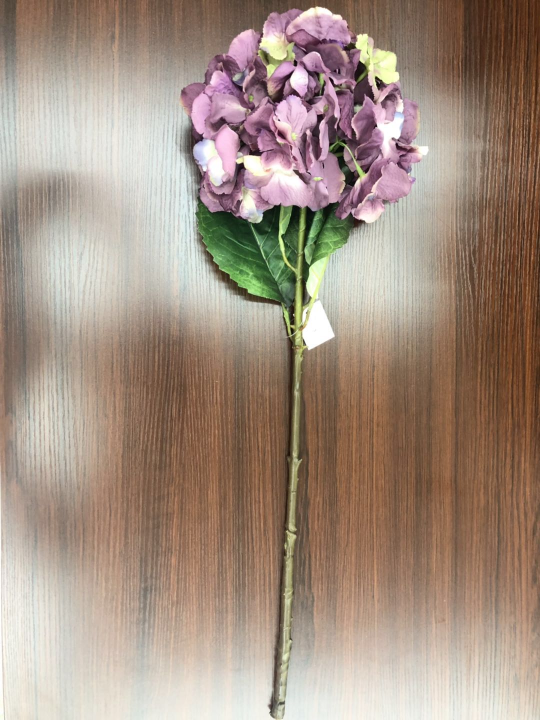 هايدس الكبيرة detail image 4