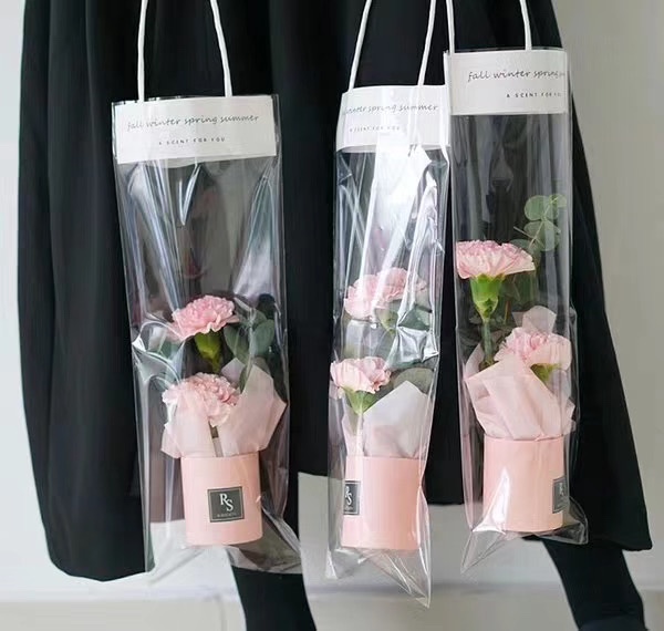 透明手提袋中号