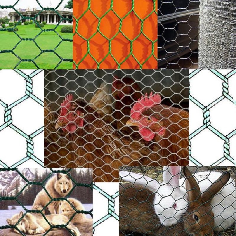六角网 拧花网 鸡心网 养殖网 护坡网产品图