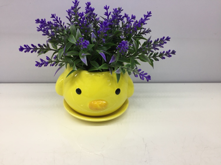 动物盆无粉麦穗