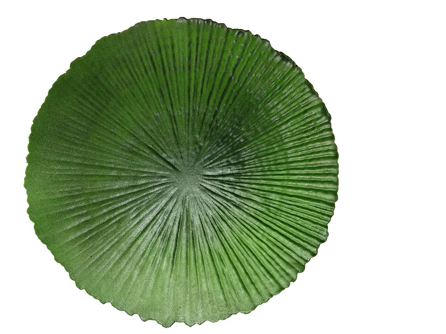 Western Placemat Table Mat Insulated Anti-Hot Cup Mat Bowl Mat Hotel Non-Slip Pvc Green Leaf