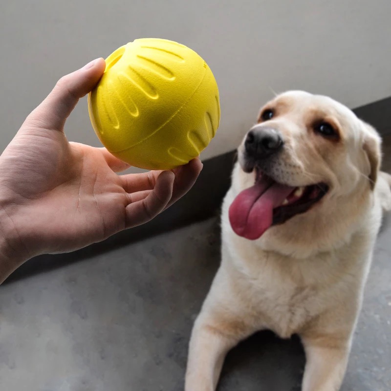 Pet teething toys are cool, refreshing and durable in summer details Picture