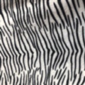 Short plush tiger-patterned fine tiger-striped fabric factory direct sales of new season products Specification image