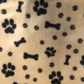 Direct sales of short plush fabric with cat and dog paw prints from the manufacturer for the current season's new products details Picture