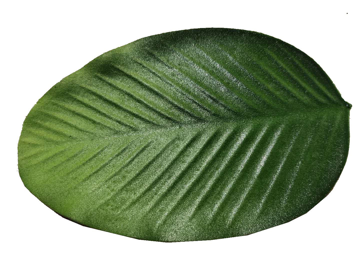 Heat Proof Cup Mat Bowl Mat Hotel Non-Slip Pvceva Green Leaf Placemat 05