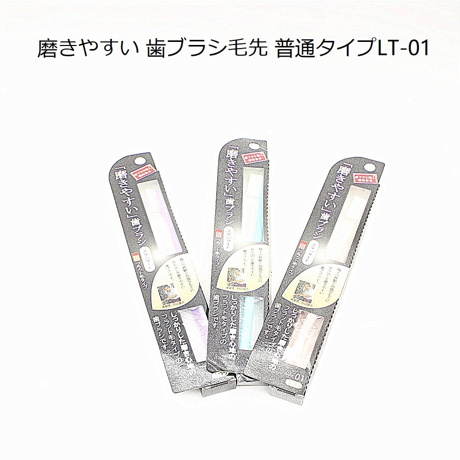 Japanese-made regular bristle toothbrush