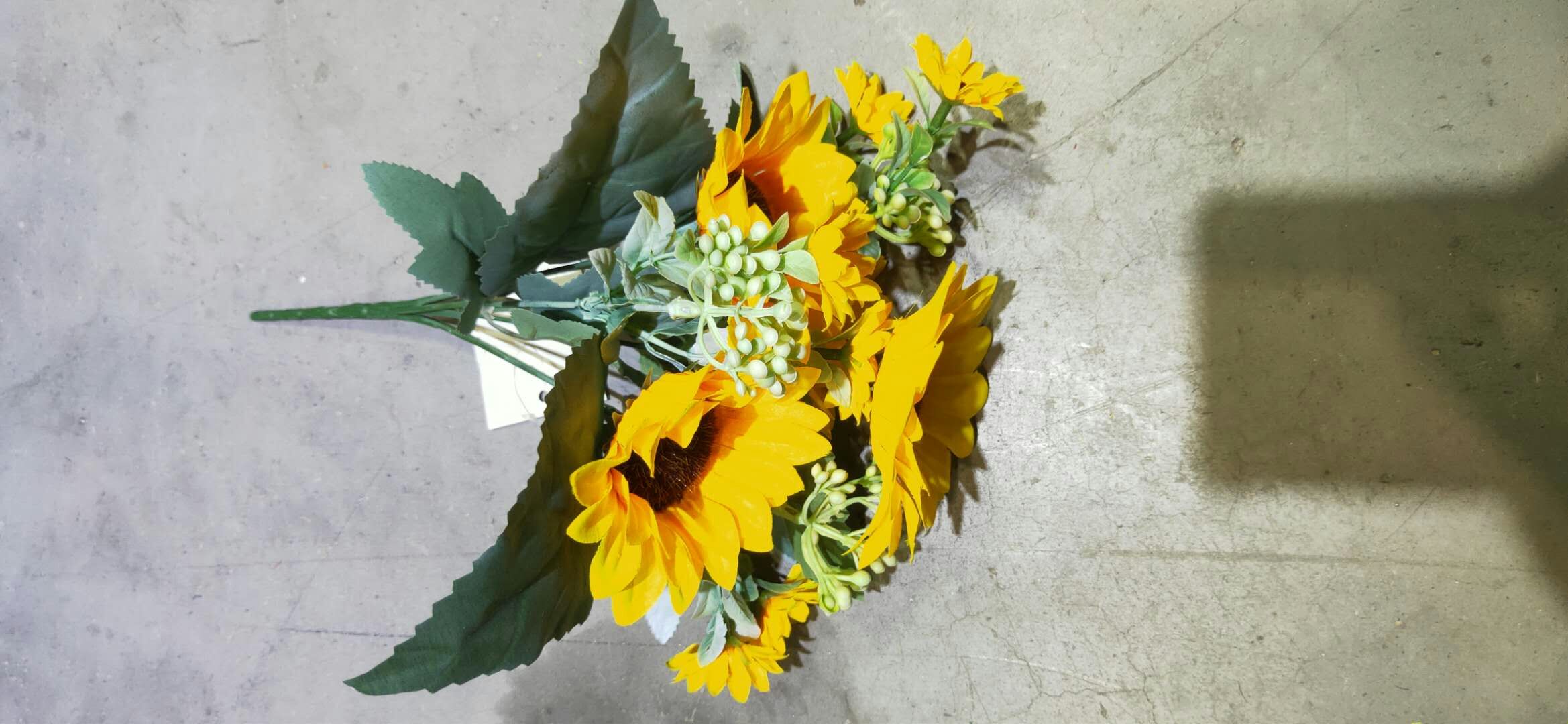 Seven sunflowers