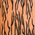 Short plush tiger-patterned fine tiger-striped fabric factory direct sales of new season products Item Picture