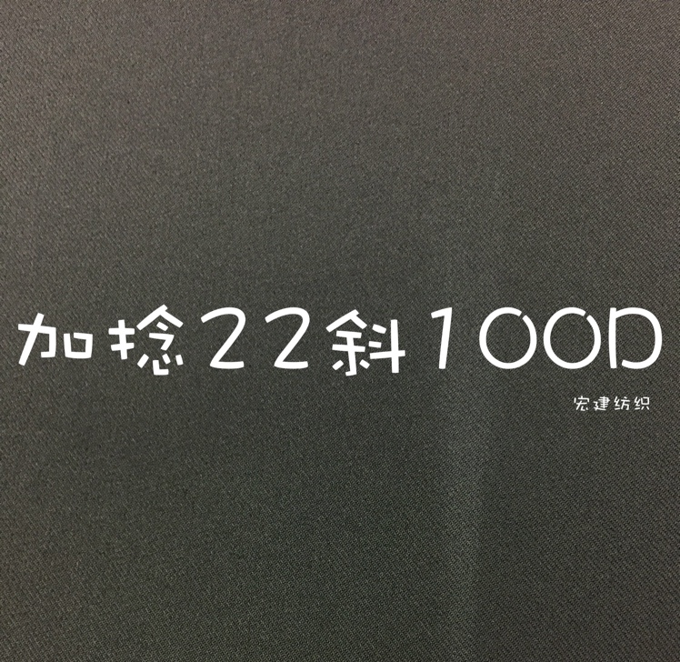 宏建纺织加捻22斜100D