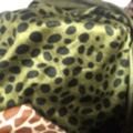 Polka dot short plush print polka dot factory direct sales of new season products available for wholesale and retail undefined