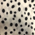 Polka dot short plush print polka dot factory direct sales of new season products available for wholesale and retail undefined