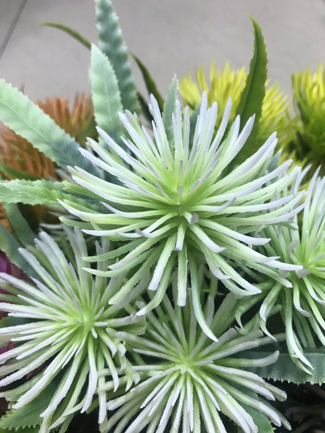 Wholesale of artificial plant PL923-6P at Yiwu Lili Flower Shop detail image 1