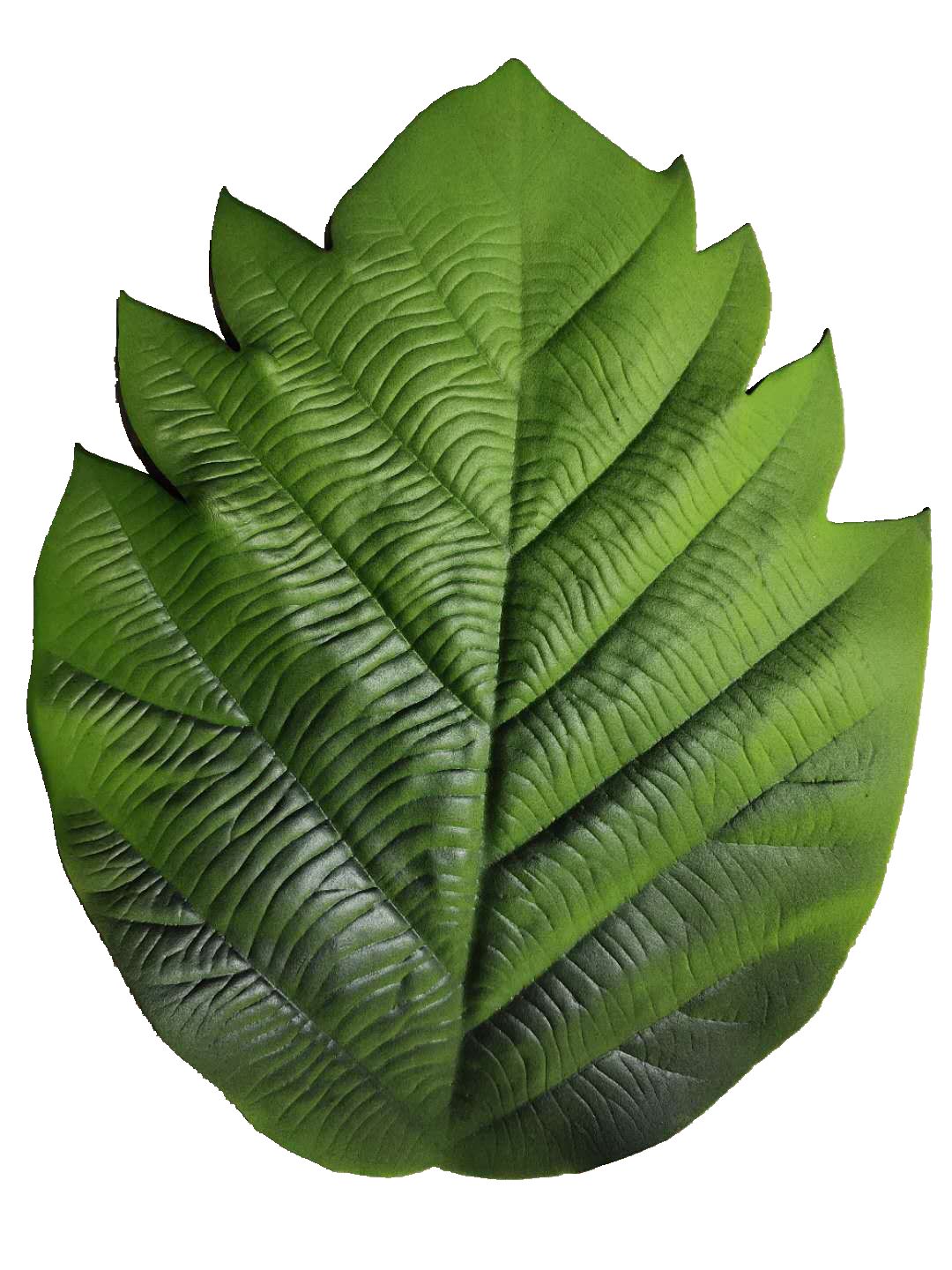 垫桌垫隔热防烫杯垫碗垫EVA绿叶餐垫28