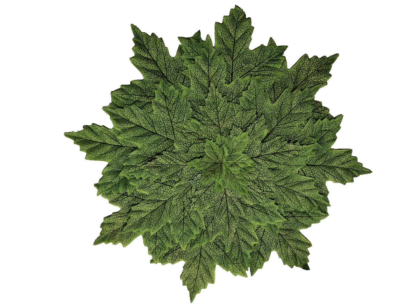 Table Mat Insulated Anti-Scalding Cup Mat Bowl Mat Hotel Non-Slip Pvceva Green Leaf Placemat