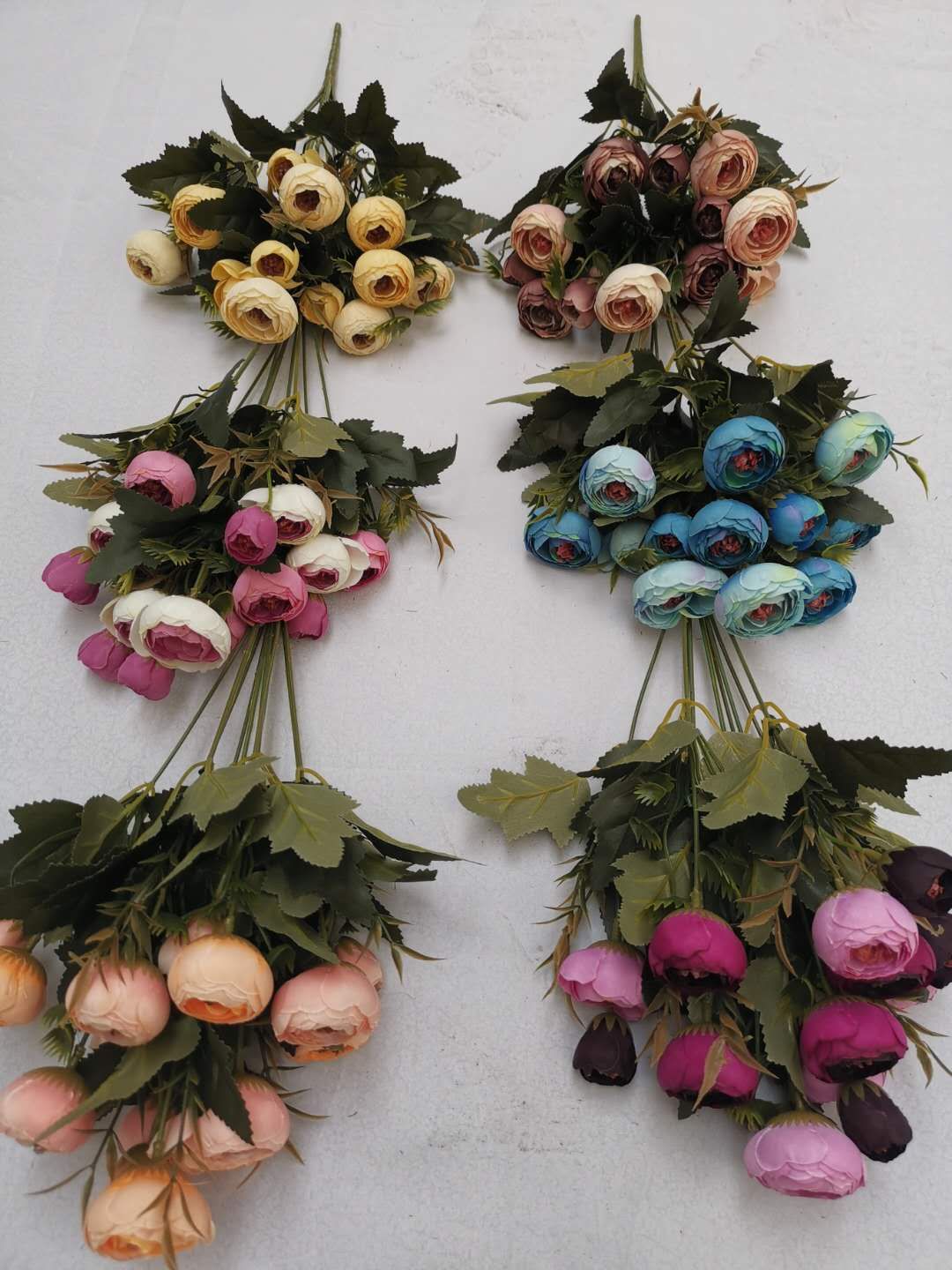 Camellia