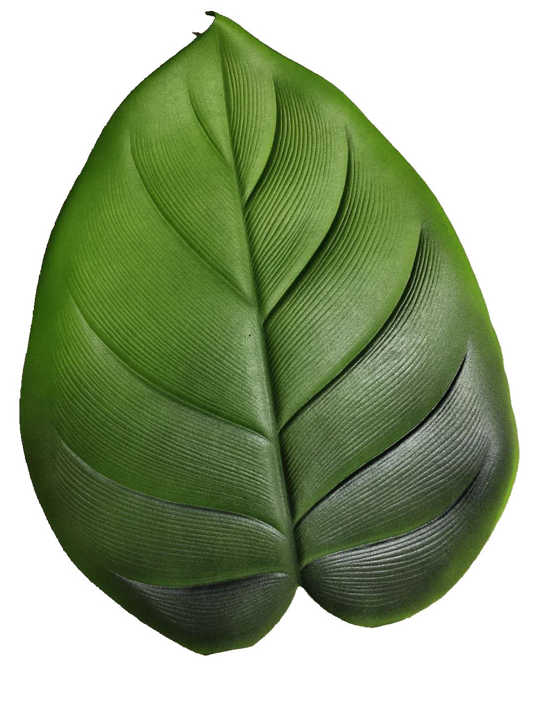 EVA green leaf table mat 30 thumbnail