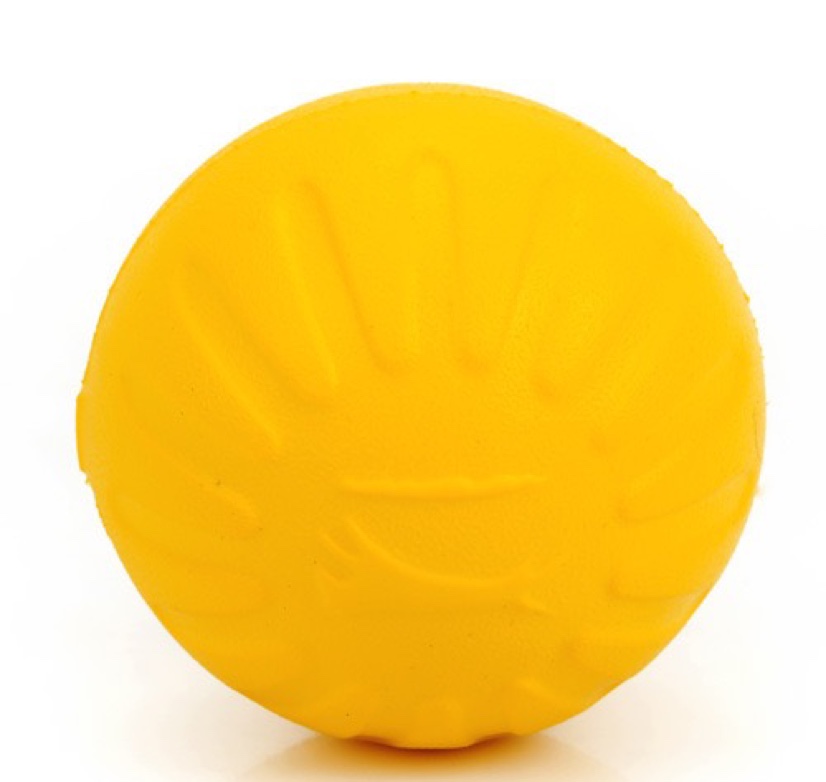 Pet teething toys are cool, refreshing and durable in summer