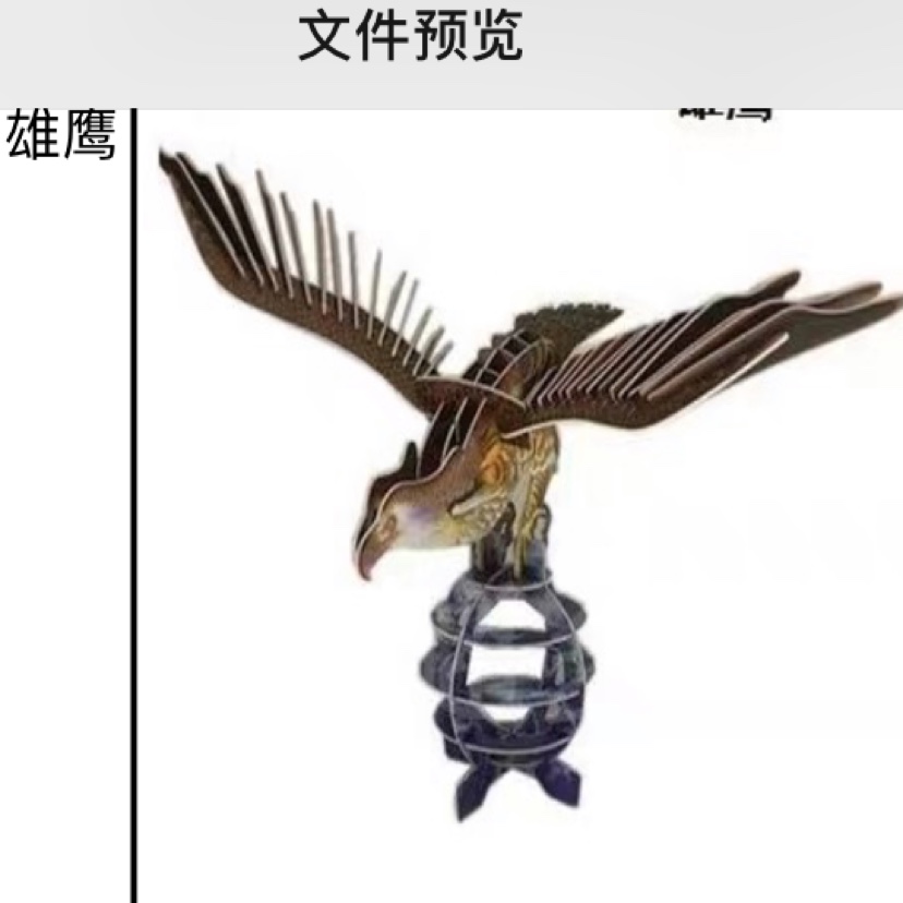 鹰