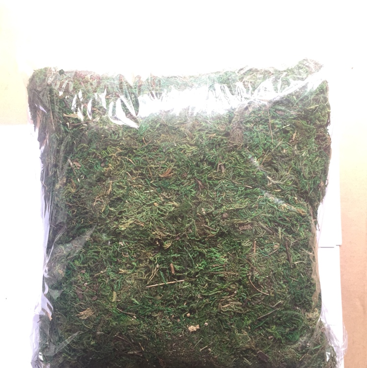 圣诞用品来料加工圣诞配件圣诞树装饰圣诞球雪松藤条五角星挂饰节日装扮