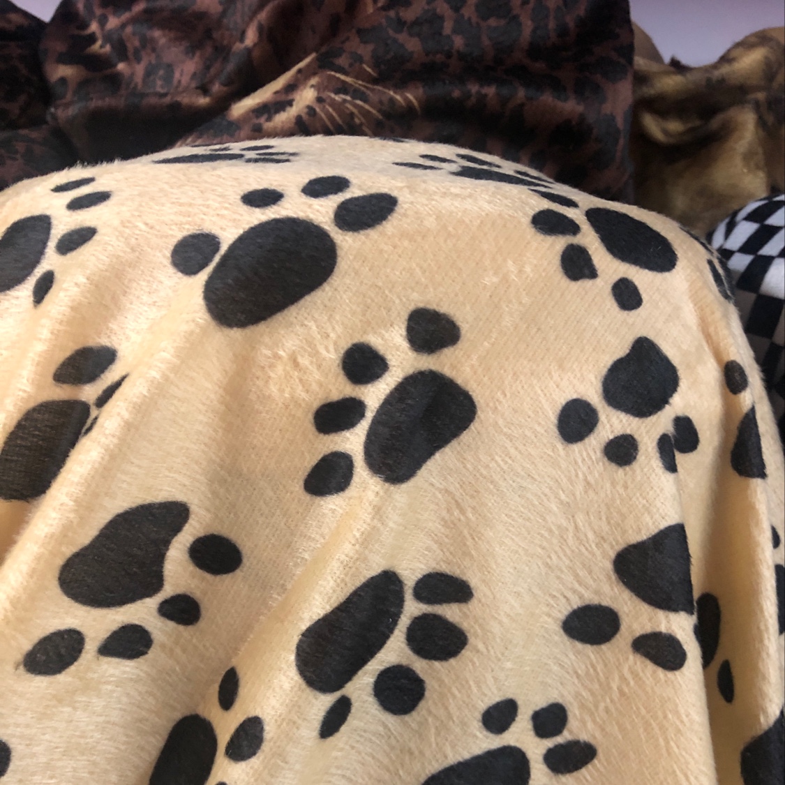 Direct sales of short plush fabric with cat and dog paw prints from the manufacturer for the current season's new products Item Picture