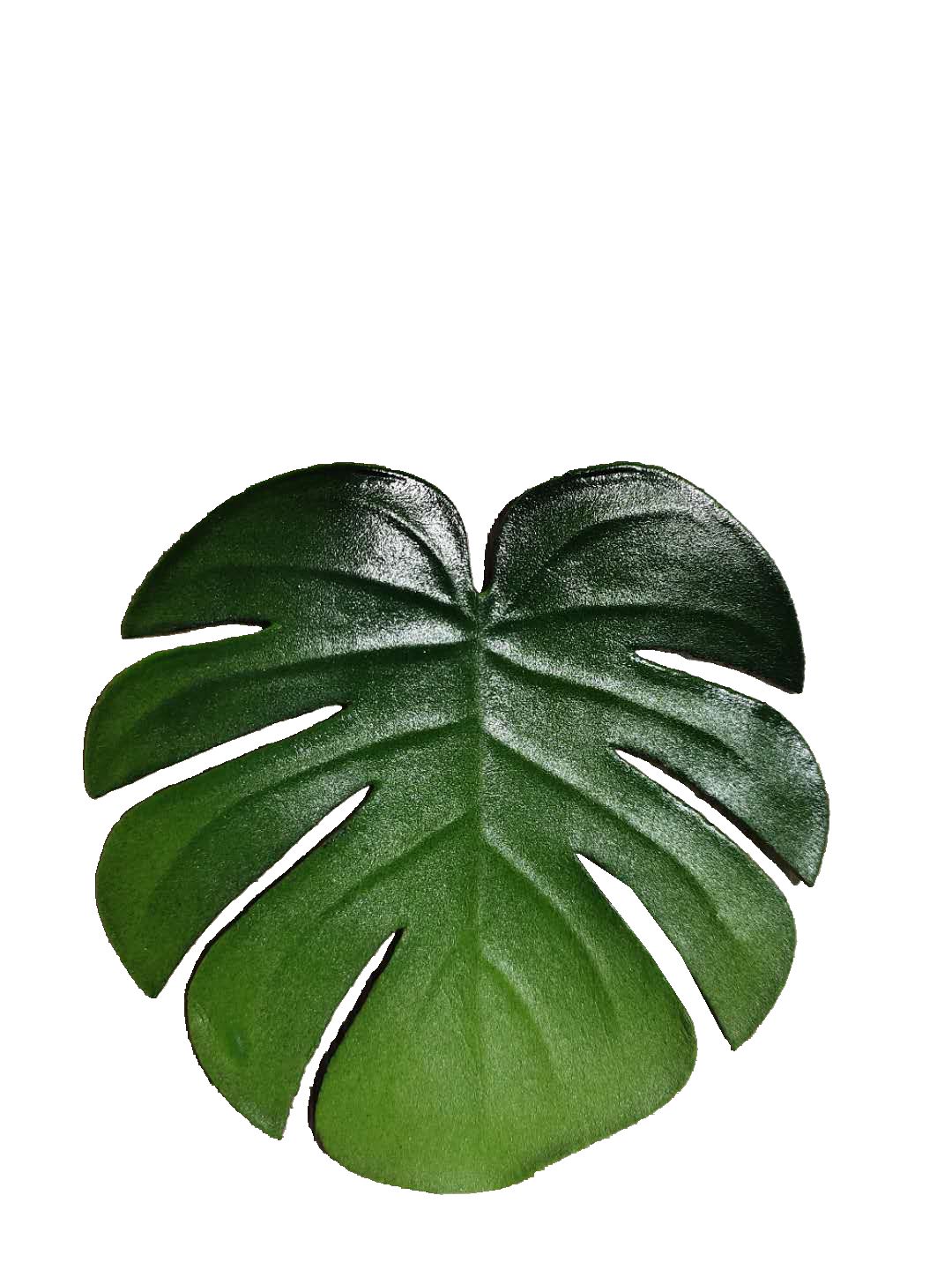 Eva Green Leaf Placemat 15 Insulated And Anti-Hot Coasters Bowl Mats Hotel Non-Slip Pvc