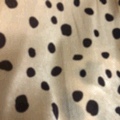 Polka dot short plush print polka dot factory direct sales of new season products available for wholesale and retail Specification image