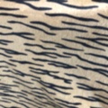 Short plush tiger-patterned fine tiger-striped fabric factory direct sales of new season products details Picture