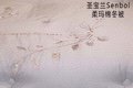 Shengbaolan brand cold-proof and warm quilts, winter quilts, spring and autumn quilts Application Scenario