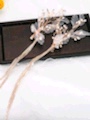 Bridal Tiara With Long Chain White Clip undefined