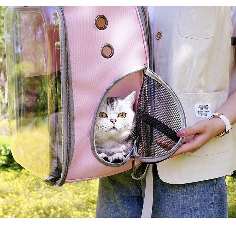 宠物猫咪用品厂家直销 可折叠猫包太空舱 便捷式透明猫咪双肩背包详情图18