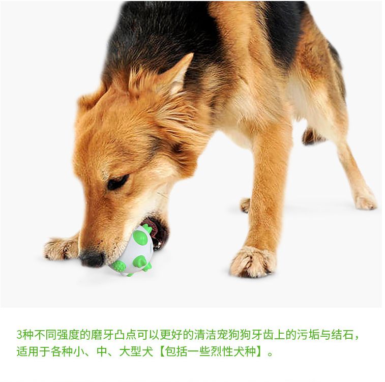 亚马逊新款宠物用品球形狗狗磨牙棒玩具耐啃咬骨头牙刷狗玩具详情图16