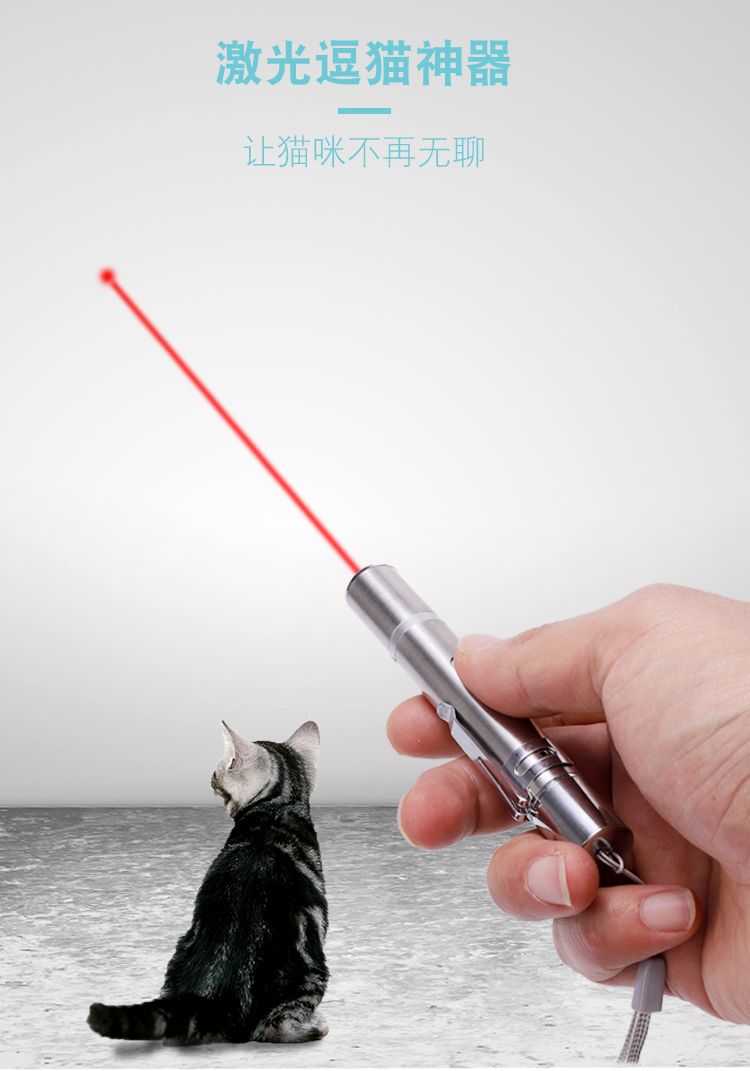 usb强光充电手电筒 多功能不锈钢激光红外线 5图逗猫激光笔充电详情图3
