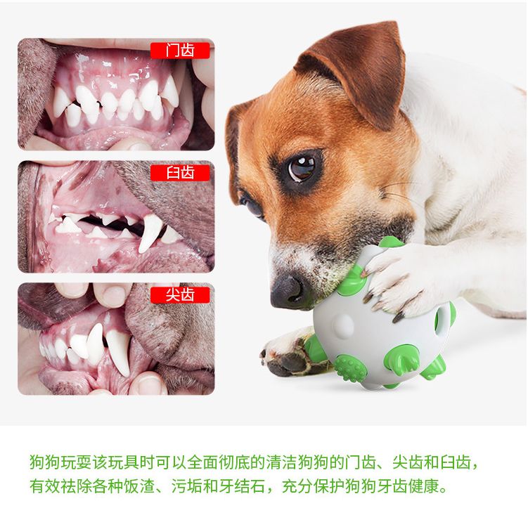 亚马逊新款宠物用品球形狗狗磨牙棒玩具耐啃咬骨头牙刷狗玩具详情图12
