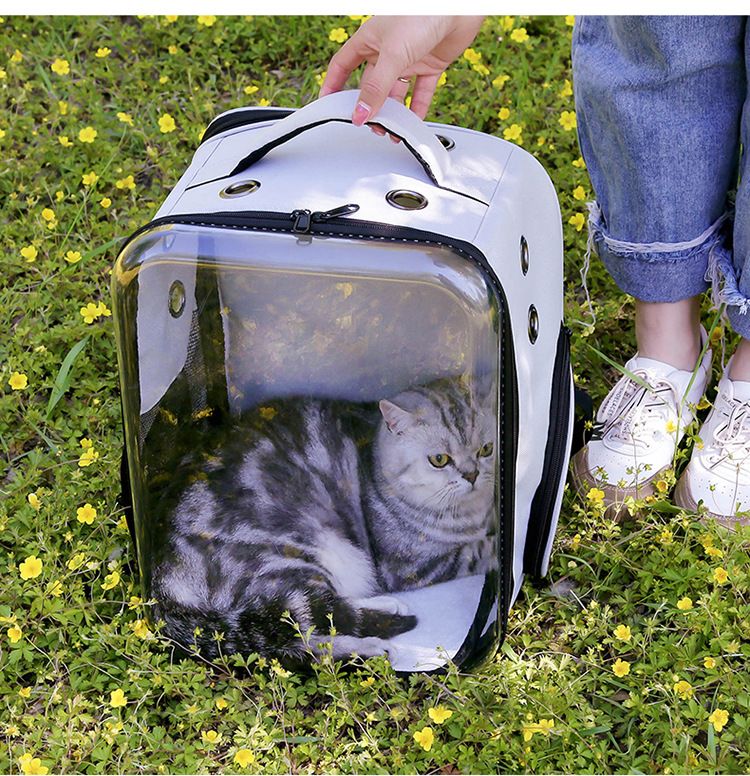 宠物猫咪用品厂家直销 可折叠猫包太空舱 便捷式透明猫咪双肩背包详情图15