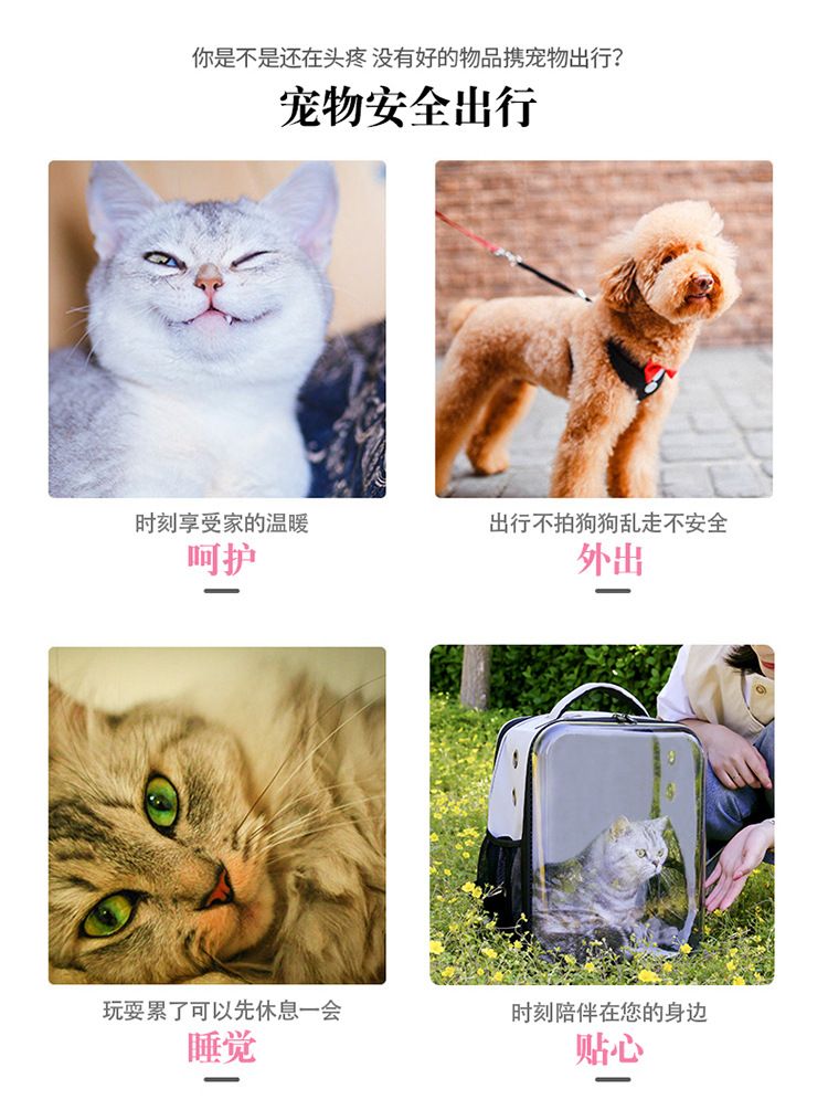 宠物猫咪用品厂家直销 可折叠猫包太空舱 便捷式透明猫咪双肩背包详情图1
