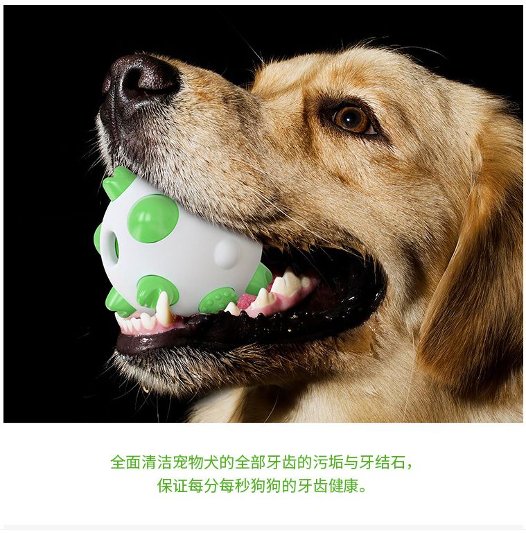 亚马逊新款宠物用品球形狗狗磨牙棒玩具耐啃咬骨头牙刷狗玩具详情图15